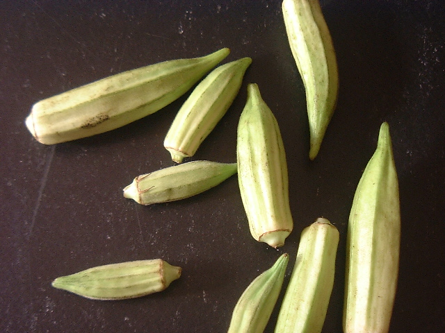 040901-cocina_quimbombo-06